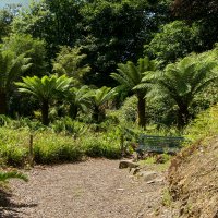 Trelissick Garden
